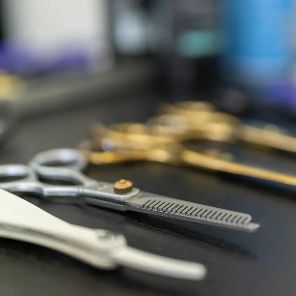 Thinning shears